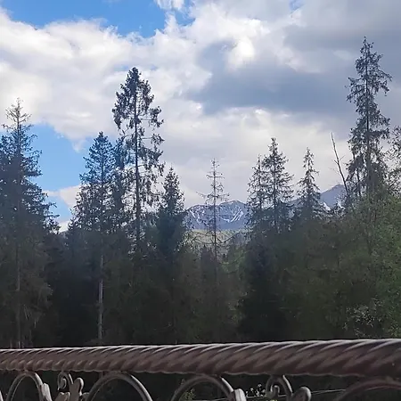 U Wajdy Проживание в семье *