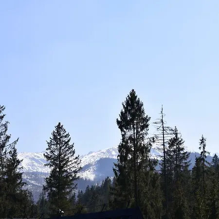 Проживание в семье U Wajdy *