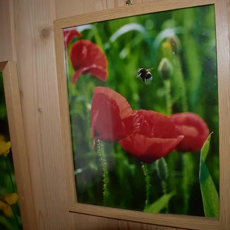 U Wajdy * Ciche Małe