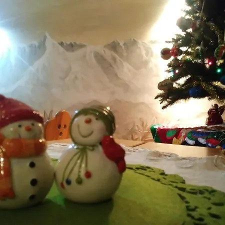 Проживание в семье U Wajdy *