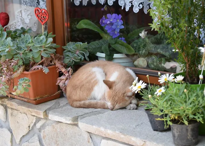 U Wajdy Privatunterkunft *