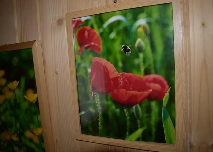 U Wajdy * Ciche Małe